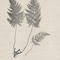 Homeroots Set Of Two Modern Ferns I Brown Framed Print Wall Art, 2PK 416364 - alternate 2