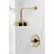 Kingston Brass Single-Handle Pressure Balanced Shower Faucet, Polished Brass KB6332PLSO - alternate 3