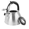 Mr. Coffee 3 Quart Stainless Steel Whistling Tea Kettle 130011.01 - alternate 3