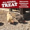 Fickle Fowl Feast of 30 oz Dried Mealworms and Dried Black Soldier Fly Larvae 27077088991 - alternate 3