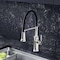 Blanco Empressa Semi-Pro 1.5 gpm, Chrome 442508 - alternate 3
