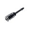 Fcs Struts Suspension Strut And Coil Spring Assembly 1355076R - alternate 2