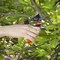 Corona Tools DualLINK Bypass Pruner, 3/4 in. Cut Capacity BP 4314D - alternate 3