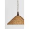 Troy Lighting Kenzo 21in wide 1 Light Pendant in Bronze Leaf F2721-BRL - alternate 2