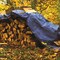 Performance Tool Extra Large Blue Standard Duty Tarp, 20' x 30', Waterproof and Reinforced W6022 - alternate 4