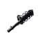 Fcs Struts Suspension Strut And Coil Spring Assembly 2337006L - alternate 2
