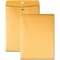 Business Source Filing Envelope, Brown, Kraft, PK100 BSN36661 - alternate 1
