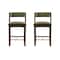 Manhattan Comfort Patricia Counter Stool  in Turtle Green - Set of 2 2-CS023-GR - alternate 2