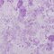 Homeroots 9' X 12' Lavender And Purple Floral Washable Indoor Outdoor Area Rug 583122 - alternate 2
