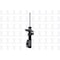 Fcs Struts Suspension Strut 333404 - alternate 3