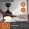 Vaxcel Long Grove, 56 in, Black Ceiling Fan, Walnut Blades, LED, Remote, DC Motor F0143 - alternate 2