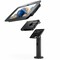 Compulocks Galaxy Tab A8 10.5IN Space Enclosure Tilting Stand 8IN Plus Hub Black TCDP01105GA8SBH01 - alternate 1