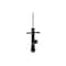 Fcs Struts Suspension Strut 334099R - alternate 1