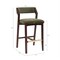 Manhattan Comfort Patricia Barstool in Turtle Green - Set of 2 2-BS026-GR - alternate 2