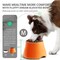 Yoken Elevated Dog Bowls, Prevention of Vertebrae Disease, Super Non-Slip PT05BOWL540ML01OMV1 - alternate 3