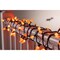 Celebrations Orange 100 ct LED Anti Flicker String Lights 11-04025A - alternate 2