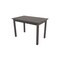 Homeroots 48" Gray Solid Wood Dining Table 548862 - alternate 4