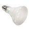 Ilc Replacement Halogen Bulb, 65W, 130V, BR30, Medium Screw (E26) INTERNATIONAL 65BR30/FL/HALOGEN - alternate 2