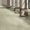 Daltile Asher Bend 9in. x 71in. Rigid Click Luxury Vinyl Flooring 26.50 Sq Ft, 6PK AB2197120L65MSX - alternate 2