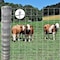 Wrightmaster 72 in. x 328 ft. 13-Gauge Heavy-Duty Galvanized Poultry Fencing with High Corrosion Resistance ZROAF12180 - alternate 3