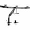 Tripp Lite Display Mount DMPDT1732AM - alternate 1