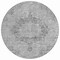 Homeroots 8' Silver Round Floral Medallion Washable Indoor Outdoor Area Rug 607940 - alternate 2