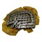 Agco CHAIN, AGCO OEM 113931M1 113931M1 - alternate 2