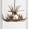 Jonathan Y Nelle 28.5" Adjustable Resin Antler 6-Light Chandelier, Brown JYL6302A - alternate 2