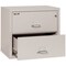 Fireking 2 Drawer, 1 Hr Fire & Impact Rated, 31" Wide Lateral Platinum 2-3122-CPL - alternate 2