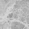 Homeroots 9' X 12' Gray Silver And Ivory Nautical Washable Indoor Outdoor Area Rug 581507 - alternate 3