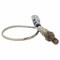 Motorcraft Oxygen Sensor,  DY1384 - alternate 1