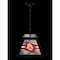 Holland Bar Stool Arizona State University Sparky Pendant Box Light BxLM1 - alternate 3