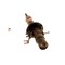 Kyb Gas Strut,  340099 - alternate 2