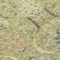 Homeroots 10' X 14' Artichoke Green Gray And Tan Damask Washable Indoor Outdoor Area Rug 603304 - alternate 4