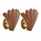 Jonathan Y Elodie 11.5" Vintage Coastal 1-Light Rattan Scallop Shell LED Wall Sconce, Brown/Gold Painting, 2PK JYL5709A-SET2 - alternate 5