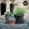 Hc Companies 6'' Stone Classic Planter PCP06005A34 - alternate 2