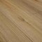 Ackland Sample Parkland Sienna Glow Waterproof Rigid Core Luxury Vinyl Plank Flooring AKVRCSIGL9X60-6520-SM - alternate 3