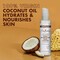 Shea Moisture 100 Percent Virgin Coconut Oil Face Lotion, 3.2 Fluid Ounce, 24PK 68938090 - alternate 1