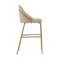 Manhattan Comfort Gracie Barstool in Tan and Gold - Set of 2 2-BS022-GTN - alternate 2