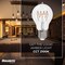 Bulbrite LED Filament 5W, Dimmable A19, Clear Glass, E26 Base, 2100K, 350 Lm, 4PK 862866 - alternate 3