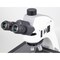 Motic Instruments Usa Panthera TEC-BF/RL/TL Trinocular Compound Upright Microscope with 6x4 Stage 1100104600201 - alternate 4
