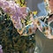 Farmers Defense Garden Flowers Protection Sleeves Large/XL SLV-GFL-LXL - alternate 2
