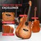 Pyle Steel String Acoustic Guitar Kit, 41 in Full Size Cutaway with Ashtree Top, Open Pore Finish PGA480CBS - alternate 2