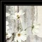 Homeroots White Blossoms 2 Black Framed Print Wall Art 407738 - alternate 2