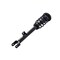 Fcs Struts Suspension Strut And Coil Spring Assembly 1337098R - alternate 2