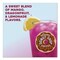 The Original Donut Shop ICED Refreshers K-Cup Pods, Mango Dragonfruit Lemonade, 80PK 5000382824 - alternate 4