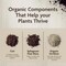 Miracle-Gro Organic Indoor Plant Potting Mix 16 qt 74186430 - alternate 2