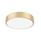 Z-Lite Coronado 1 Light Flush Mount, Modern Gold, 20 In W 1017F20-MGLD-LED - alternate 2