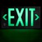 Brady Plastic Photoluminescent Exit Sign 8.75in H x 15.5in W Single-sided White on Black 1149962 - alternate 3