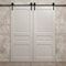 Sartodoors Modern Double Barn Door 72 x 96 inches, Ego 5012 Painted White Oak, 13FT Rail Track Set, Solid Pa EGO5012DB-PWO-7296 - alternate 2